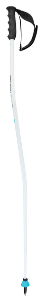 Head WORLDCUP SG (white/black/speed blue)  24/25
