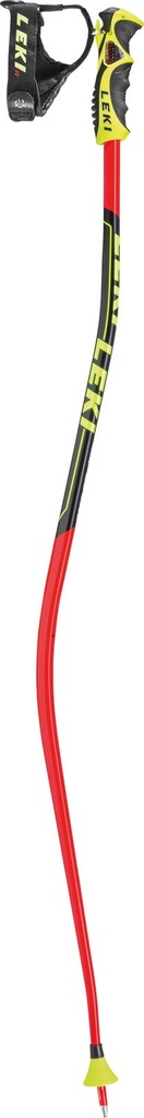 Leki Super G/Downhill 17/18